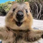 Adrian Costello - @fancypants421 - Instagram
