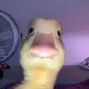 Adrian Cota - @adrian.cota71 - TikTok