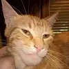 Adrian Craig - @adrian.craig4 - TikTok