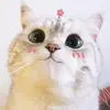 dollie jolly - @adrian.crook1 - TikTok