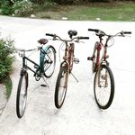 Adrian Scott Croom - @adrian.croom339 - Instagram