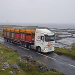 Adrian Crowley - @crowley_eire - Instagram