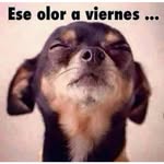 Adrian Cuba - @cuba_adrian - Instagram