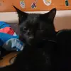Adrian Culpepper - @adrian.culpepper - TikTok