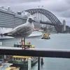Adrian Culver - @adrian.culver - TikTok