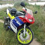 adrian gonzalez curbelo - @adrian82 - Instagram