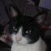 Adrian Cameron Curi - Facebook