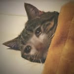 Adrian Curi - @adwjfjdcu13 - Instagram