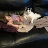 adrianacurranhogrelius6 - @adrianacurranhogrelius6 - TikTok