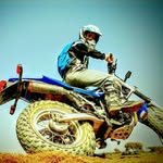 Adrian Curtin - @curtin.adrian - Instagram