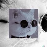 D Adrian Cusi Laime - @dadriancusilaime - Instagram