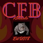 Adrian Cutler - @cfb_kennels - Instagram