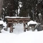 Adrian Cutting - @adriandcutting - Instagram