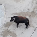 Adrián Adsuara Dalmau - @dalmauadrianadsuara - Instagram