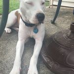 Adrian Dempsey - @princessadrianpit - Instagram