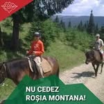 Adrian Dinu - @adrian.dinu2004 - Instagram