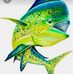 Adrian Parra -  Dorado tours - Facebook