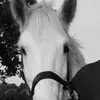 Adrian Drew - @adrian.drew - TikTok