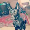 adriandrew959 - @adriandrew959 - TikTok