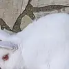 adrianelamo10 - @adrianelamo10 - TikTok