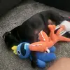 adrianelmopug - @adrianelmopug - TikTok