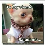 adrianelmorenazo - @adrianelmorenazo - Instagram