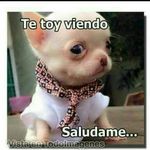 adrianelmorenazo - @adrianelmorenazo - Instagram