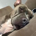 Adrian Erickson - @rezdawg_74 - Instagram