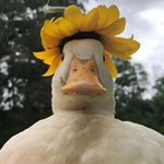Adrian Ernst - @einfach.adrixn - Instagram