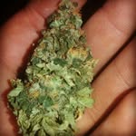 adrian rodriguez esperon - @adrianrodrigue7779 - Instagram