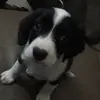 Adrian Esquer - @adrianesquer1 - TikTok