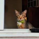 Adrian Estrella - @adrian_x_estrella - Instagram