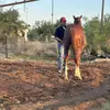 Adrian Estrella - @adrian.estrella22 - TikTok