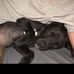 Adrianne Jason Ethridge - Facebook
