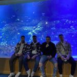 Adrian,Ilhan,Etienne,Hassan - @sucuk.pfanne - Instagram