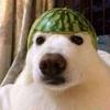 Adrian Eustaquio - @adrian.eustaquio - TikTok