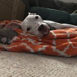 Adrian Ewing - @adrianaewing_ - Instagram