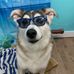 Adrian Fallow - Facebook