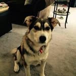 Adrian Fallow - @fallowadrian - Instagram