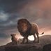 Adrian Father - Facebook