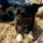 Adrian Featherstone - @adrian_featherstone - Instagram