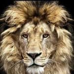 Adrian Feldman - @adrian.feldman.583 - Instagram