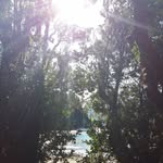 Adrian Feldman - @adrianfeldman56 - Instagram