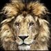 Adrian Feldman - Facebook
