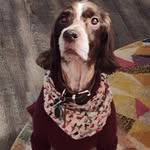 adrianfeldmann - @adrianfeldmann6 - Instagram