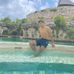 Adrian Ferro - Facebook