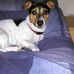 Adrian Findlay - Facebook
