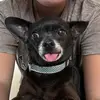 adrian.difilippo - @adrian.difilippo - TikTok