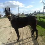 Adrian Fontes - @fontes_adrian - Instagram