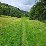 Adrian John Franklin - @adrianjohnfranklin - Instagram